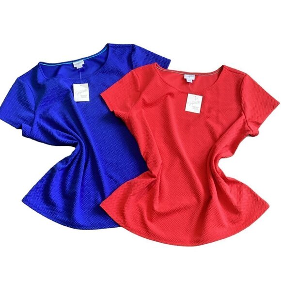 NEW/NWT Set of 2 Jaclyn Smith XXL Short Sleeve Knit Tops Blue & Red 169H - Picture 1 of 11
